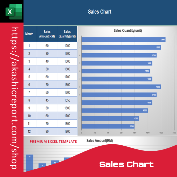 Sales Chart Pro Excel Template – akashicreport.com