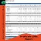 Profit and Loss Report Excel template displaying revenue, expenses, and net profit calculations