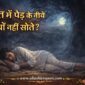 raat me ped ke neeche kyon nahi sote 85x85